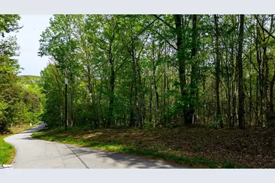 0 Packs Mountain Ridge Road, Taylors, SC 29687 - Photo 11