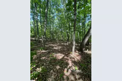 0 Packs Mountain Ridge Road, Taylors, SC 29687 - Photo 1