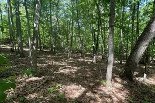 0 Packs Mountain Ridge Rd, Taylors, SC 29687 - Photo 1