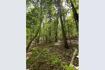 0 Packs Mountain Ridge Road, Taylors, SC 29687 - Photo 15