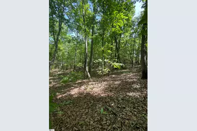 0 Packs Mountain Ridge Road, Taylors, SC 29687 - Photo 15