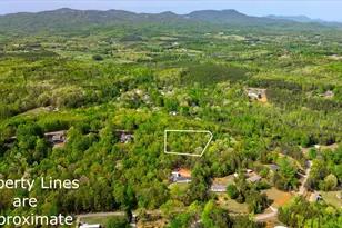 0 Packs Mountain Ridge Rd, Taylors, SC 29687 - Photo 1
