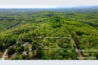 0 Packs Mountain Ridge Road, Taylors, SC 29687 - Photo 1