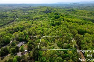 0 Packs Mountain Ridge Rd, Taylors, SC 29687 - Photo 1