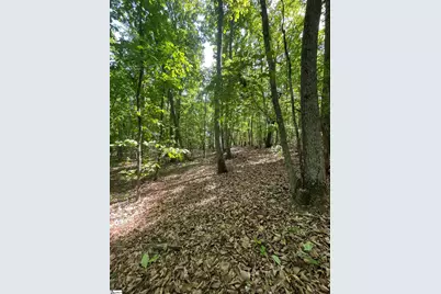 0 Packs Mountain Ridge Road, Taylors, SC 29687 - Photo 19