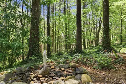 111 Sourwood Street, Central, SC 29630 - Photo 27