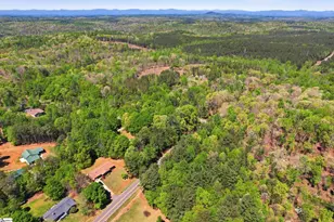 111 Sourwood St, Central, SC 29630 - Photo 33