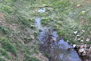 3015 Pumpkintown Hwy, Pickens, SC 29671 - Photo 49