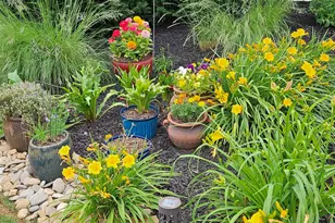 105 Brennan Pl, Greenville, SC 29609 - Photo 45