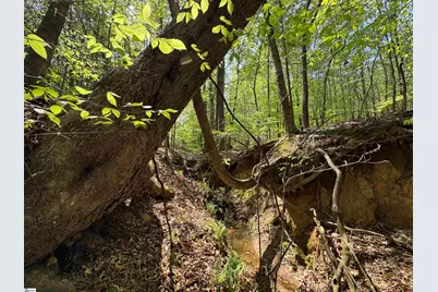 211 Center Street, Abbeville, SC 29620 - Photo 21