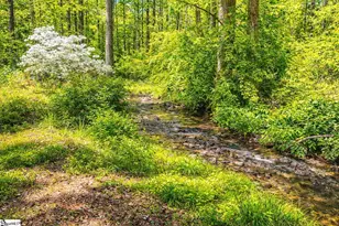 310 Holly Springs Rd, Inman, SC 29349 - Photo 29