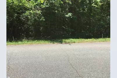 510 Cole Road, Campobello, SC 29322 - Photo 49