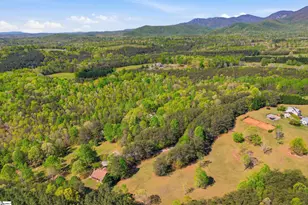 491 Pierce Rd, Landrum, SC 29356 - Photo 41