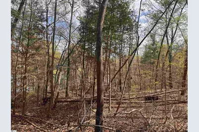 499 Lancaster Road, Spartanburg, SC 29376 - Photo 17