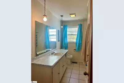 4124 Sc-414 Highway, Landrum, SC 29651 - Photo 11