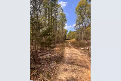 0 Lancaster Road, Spartanburg, SC 29376 - Photo 5
