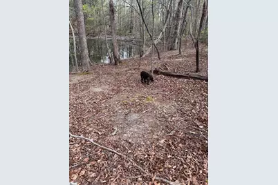 0 Lancaster Road, Spartanburg, SC 29376 - Photo 29