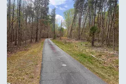 0 Lancaster Road, Spartanburg, SC 29376 - Photo 3