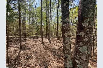 0 Lancaster Road, Spartanburg, SC 29376 - Photo 13