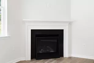 209 Durness Ct, Anderson, SC 29621 - Photo 13