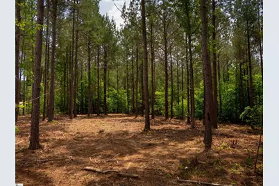 06 Elford Grove Road #Lot 6, Jonesville, SC 29353 - Photo 21