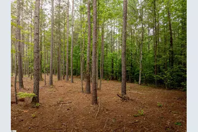 06 Elford Grove Road #Lot 6, Jonesville, SC 29353 - Photo 11