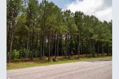 06 Elford Grove Road #Lot 6, Jonesville, SC 29353 - Photo 23