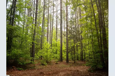 06 Elford Grove Road #Lot 6, Jonesville, SC 29353 - Photo 19