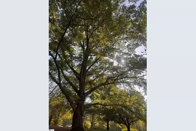 385 Wall Street, Campobello, SC 29322 - Photo 5