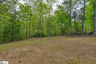 1810 Skunk Hollow Rd, Campobello, SC 29322 - Photo 29