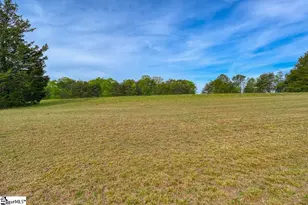 1810 Skunk Hollow Rd, Campobello, SC 29322 - Photo 31