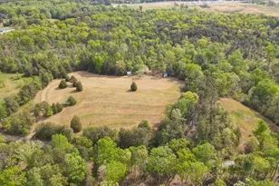 1810 Skunk Hollow Rd, Campobello, SC 29322 - Photo 37