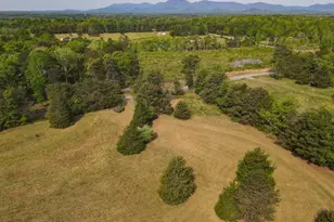 1810 Skunk Hollow Rd, Campobello, SC 29322 - Photo 35