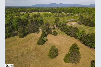 1810 Skunk Hollow Road, Campobello, SC 29322 - Photo 35