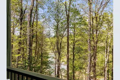 4004 Lake Adger Parkway, Mill Spring, NC 28756 - Photo 43