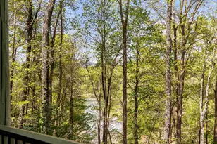 4004 Lake Adger Pkwy, Mill Spring, NC 28756 - Photo 43