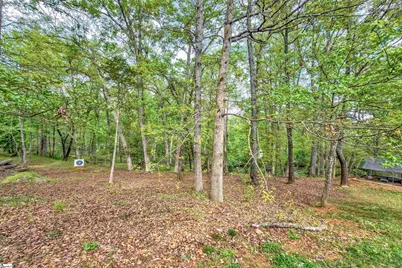 141 Greybridge Road, Pelzer, SC 29669 - Photo 37