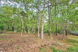 141 Greybridge Rd, Pelzer, SC 29669 - Photo 37