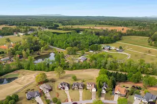 114 Royal Troon, Campobello, SC 29322 - Photo 47