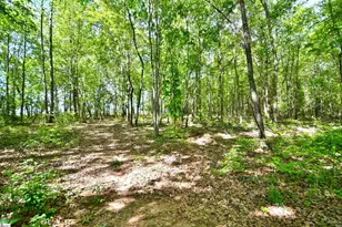 197 Falling Creek Rd, Spartanburg, SC 29301 - Photo 3