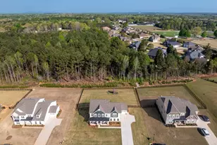 206 Riverland Wy, Greer, SC 29651 - Photo 47