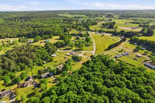290 Dickson Rd, Campobello, SC 29322 - Photo 25
