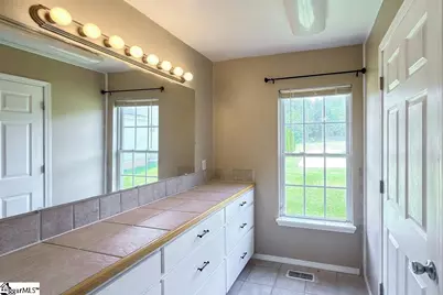 290 Dickson Road, Campobello, SC 29322 - Photo 11