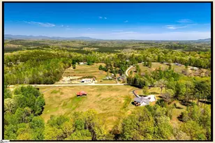 3803 Dacusville Hwy, Easley, SC 29640 - Photo 3