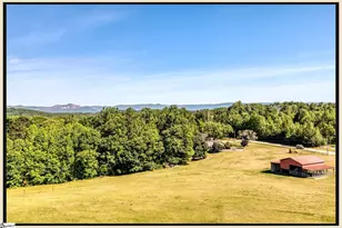 3803 Dacusville Hwy, Easley, SC 29640 - Photo 43