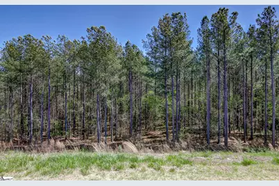 00 Grange Valley Drive, Central, SC 29630 - Photo 29