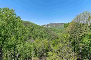 33 Eagle Rock Rd, Landrum, SC 29356 - Photo 45