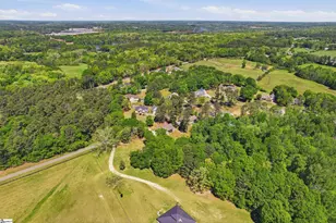 297 Paradise Vista Dr, Williamston, SC 29697 - Photo 39