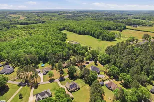 297 Paradise Vista Dr, Williamston, SC 29697 - Photo 41