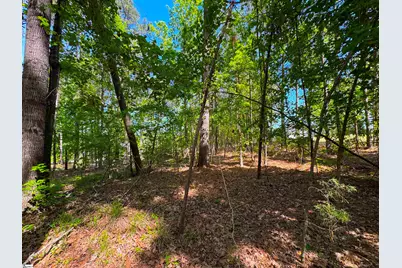 430 Herrington Drive, Chappells, SC 29332 - Photo 17